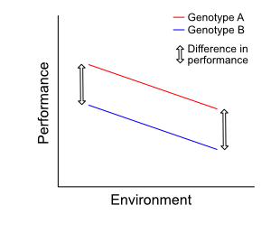 Example 1: no genotype-environment interaction