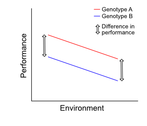 Example 1: no genotype-environment interaction Example 1: no genotype-environment interaction