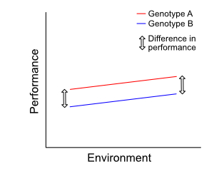 Example 2: no genotype-environment interaction Example 2: no genotype-environment interaction