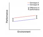 Example 2: no genotype-environment interaction