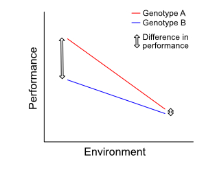 Example 1: a strong genotype-environment interaction Example 1: a strong genotype-environment interaction