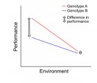 Example 1: a strong genotype-environment interaction