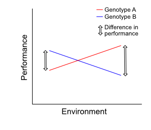 Example 2: a strong genotype-environment interaction