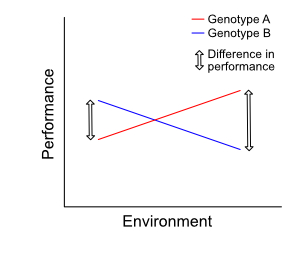 Example 2: a strong genotype-environment interaction Example 2: a strong genotype-environment interaction