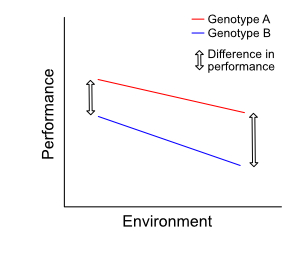 Example 1: a weak genotype-environment interaction