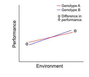 Example 2: a weak genotype-environment interaction