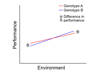 Example 2: a weak genotype-environment interaction Example 2: a weak genotype-environment interaction