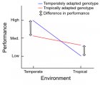 G x E interaction: two cattle subspecies in temperate and tropical environments