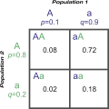 Punnett square showing genotypic frequencies from an F1 cross of two unrelated populations at the A locus
