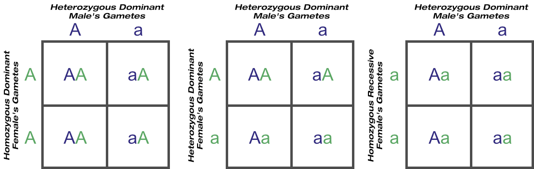 Test mating outcomes