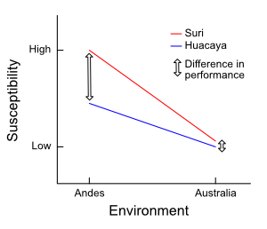 An example of a genotype-environment interaction