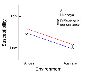 An example of no genotype-environment interaction An example of no genotype-environment interaction